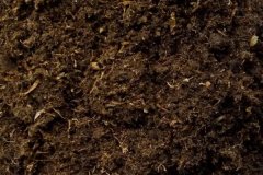 什么是基質(zhì)土 基質(zhì)土的配制方法是什么？