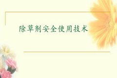 除草劑安全使用要點(diǎn) 發(fā)生除草劑藥害如何補(bǔ)救？