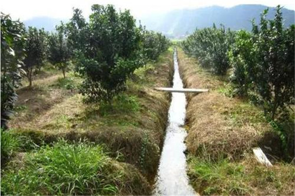 果園合理灌、排水