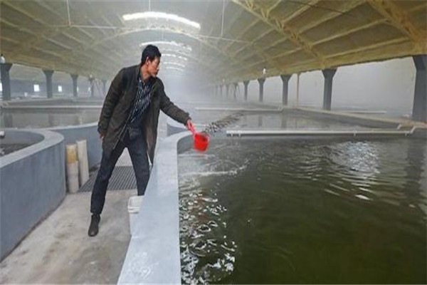 pH值。表示水的酸堿度