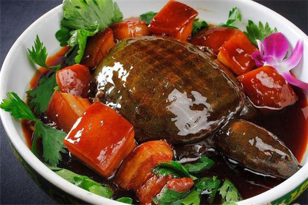 甲魚(yú)的營(yíng)養(yǎng)價(jià)值、性味功效