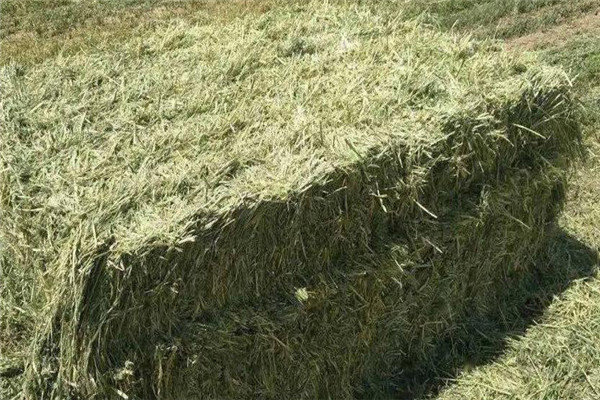 青干草的色、香、味