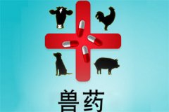獸藥屬于藥品嗎？獸藥與人用藥的區(qū)別是什么？