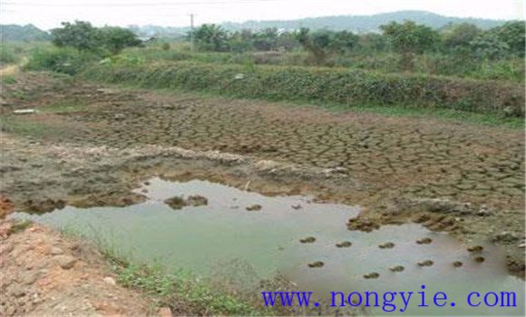 養(yǎng)魚(yú)池干池有哪些好處