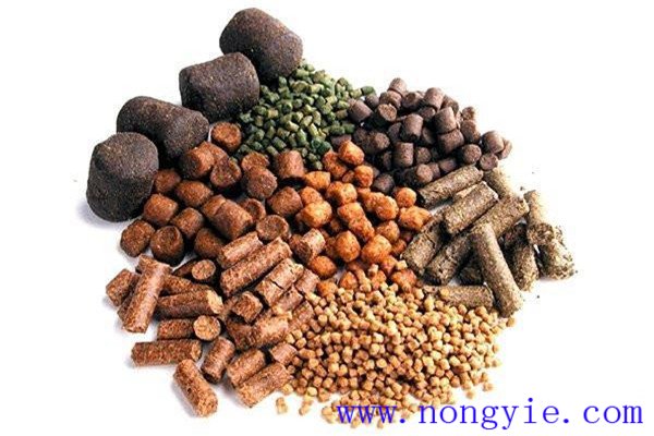 魚(yú)類飼料中含有多少蛋白質(zhì)為宜