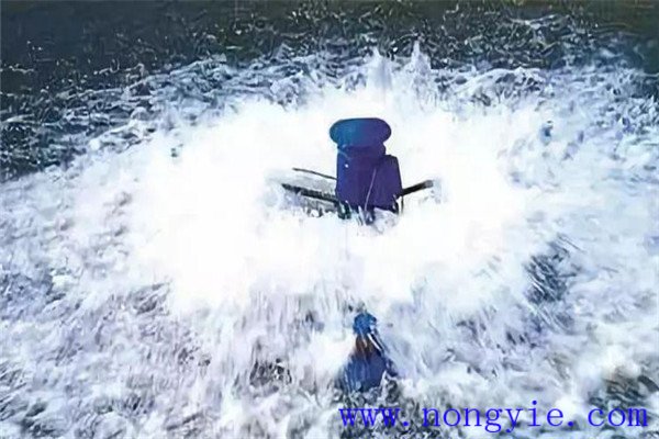 保，即保魚(yú)蝦健康