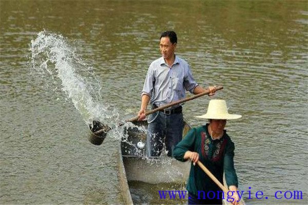 加強(qiáng)病害防治、講究安全用藥