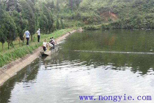 積極做好產(chǎn)品的銷(xiāo)售工作