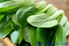 上海青是什么菜？上海青種植時間和方法