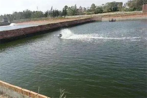 蝦池如何科學換水