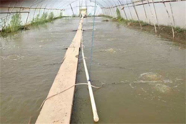 養(yǎng)殖塘口的建設與改造