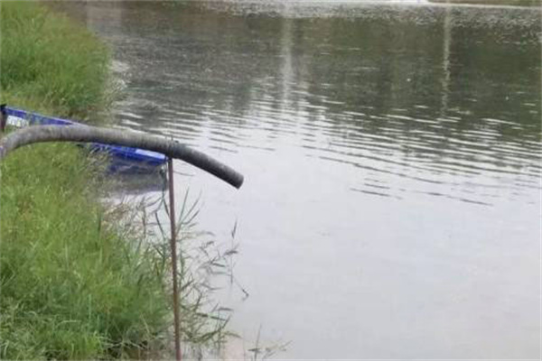 適時加水、換水