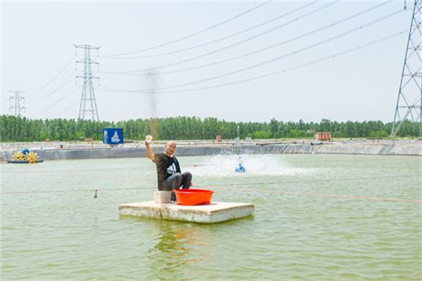 投喂優(yōu)質(zhì)飼料、控制飼料量