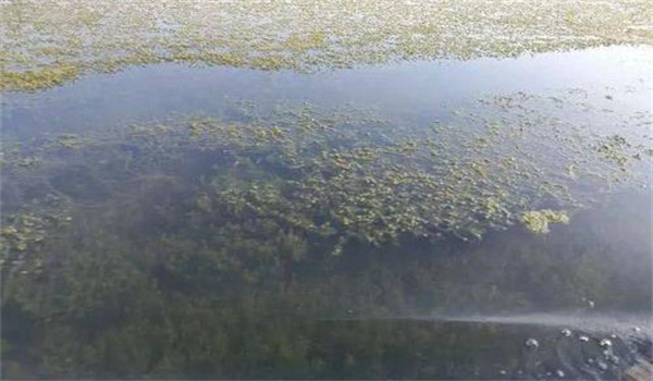 提供棲息、隱蔽場(chǎng)所