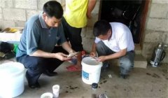 魚病治療中的發(fā)現(xiàn)、送診、用藥問題