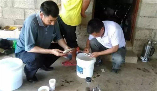 魚病治療中的發(fā)現(xiàn)、送診、用藥問(wèn)題