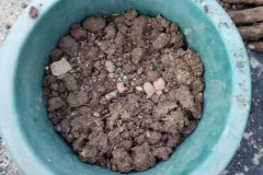 羊糞怎樣做養(yǎng)花肥料，可以直接放花盆表面嗎？