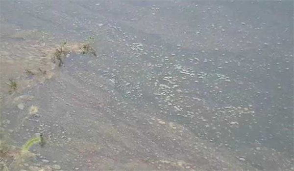 養(yǎng)殖池塘缺氧的原因是什么，有哪些防范措施