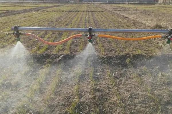 蚍蟲(chóng)啉中毒的急救措施