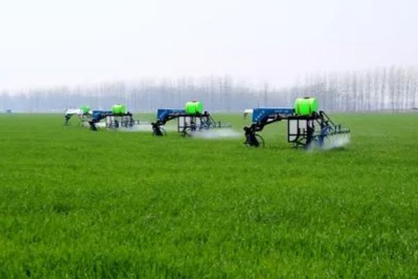 蚍蟲(chóng)啉對(duì)人體毒性大嗎