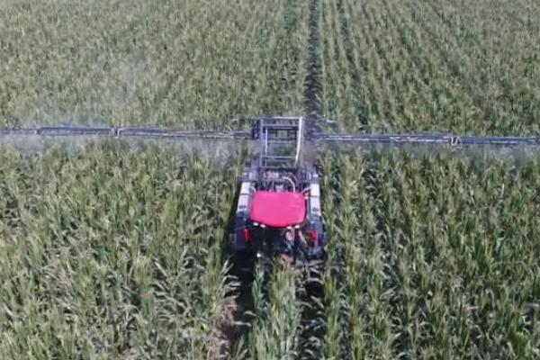 吡蟲(chóng)啉治蚜蟲(chóng)嗎