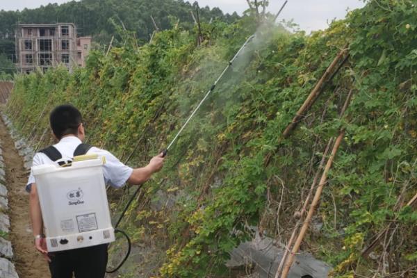 啶蟲(chóng)噠螨靈的使用方法