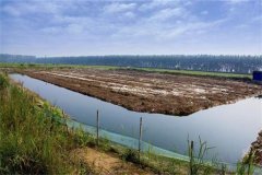 澳洲龍蝦養(yǎng)殖條件有哪些，養(yǎng)殖周期是多久？