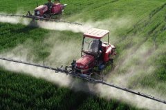 吡蟲啉的殺蟲原理、防治對(duì)象及需注意事項(xiàng)