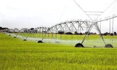 替代農(nóng)業(yè)的類型、主要形式有哪些？