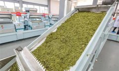 扁形名優(yōu)綠茶機(jī)械加工的具體方法是什么？