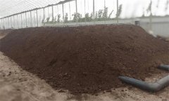 養(yǎng)雞場糞便、死雞及其他廢棄物的處理方法