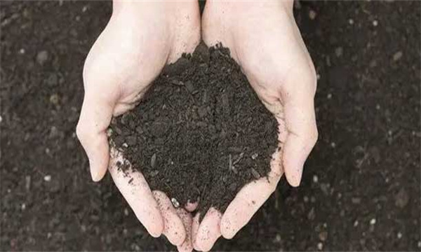 以有機(jī)肥為主，無(wú)機(jī)肥為輔