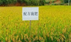 什么是配方施肥技術，配方施肥應遵循哪些原理