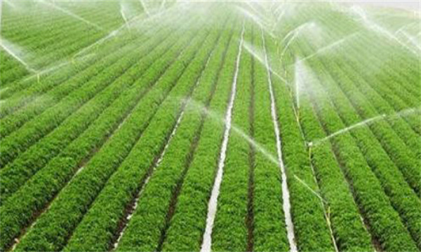 水肥一體化的方法