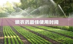 農(nóng)藥用藥時(shí)間問題：適時(shí)用藥是關(guān)鍵！