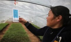 溫度對(duì)農(nóng)作物生長(zhǎng)發(fā)育的影響有哪些方面？