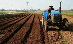 底肥深施的技術(shù)要求、操作要領(lǐng)及注意事項