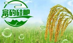 硅肥對(duì)發(fā)展優(yōu)質(zhì)水稻生產(chǎn)有哪些好處？