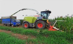 玉米青貯機械作業(yè)安全技術要求有哪些？