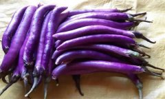 常見(jiàn)蔬菜有哪些選購(gòu)技巧？