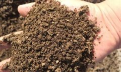 什么是土壤質(zhì)地 按土壤質(zhì)地土壤分為幾種類型？