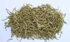 如何科學(xué)飲用金銀花茶？需注意哪些事項？