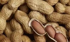 如何防止花生中黃曲霉毒素的危害？