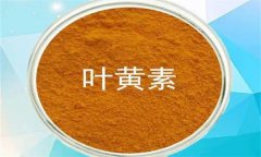 什么是葉黃素？哪些蔬菜富含葉黃素？