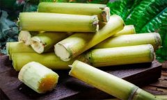 如何選購、儲(chǔ)存甘蔗？食用甘蔗應(yīng)注意事項(xiàng)