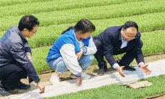 如何處理擱田與治蟲的關(guān)系，怎樣保護(hù)稻田蜘蛛