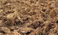 土壤肥力失衡、土壤質(zhì)量下降、土壤酸化怎么辦