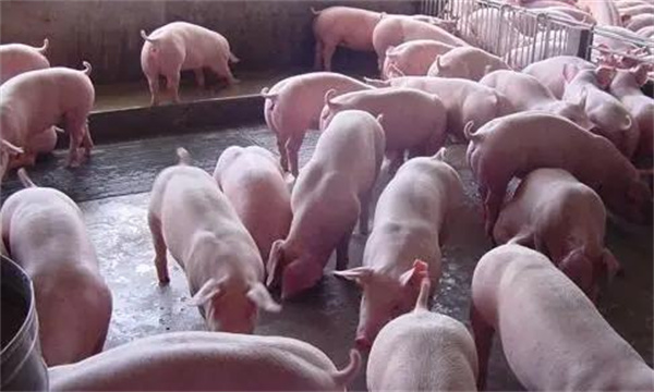 室內溫度的調控