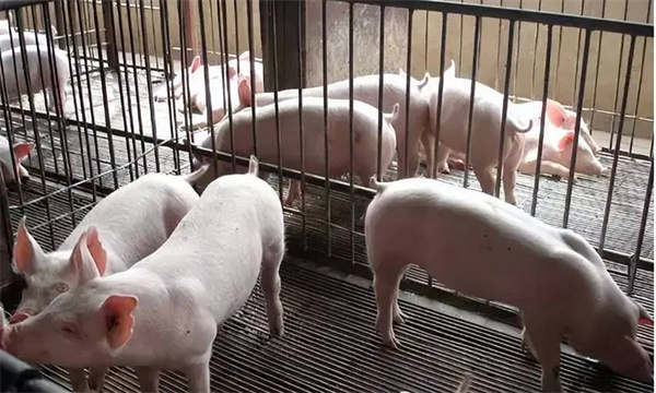 室內濕度的調控